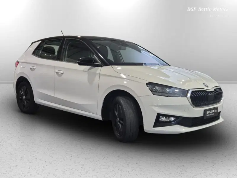 Skoda Fabia usata a Padova (4)