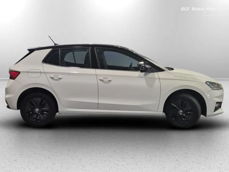 Skoda Fabia usata a Padova (5)