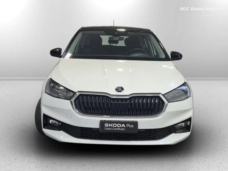 Skoda Fabia usata a Padova (7)