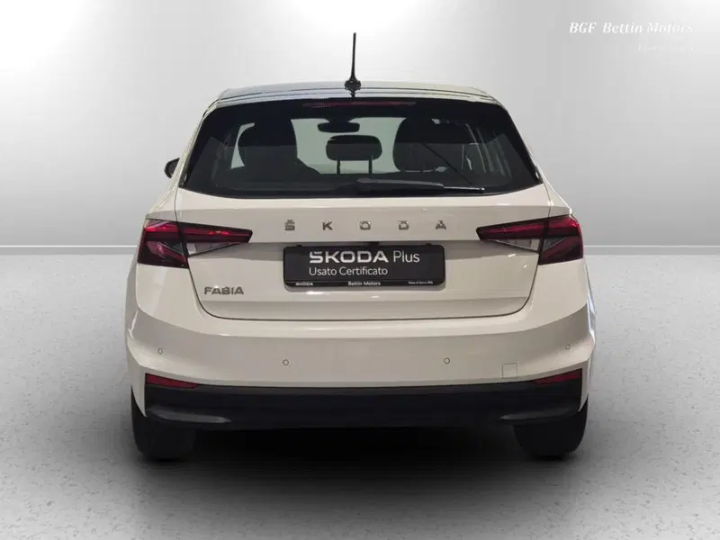 Skoda Fabia usata a Padova (8)