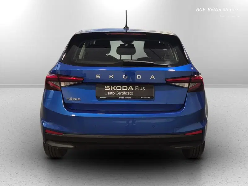 Skoda Fabia usata a Padova (8)