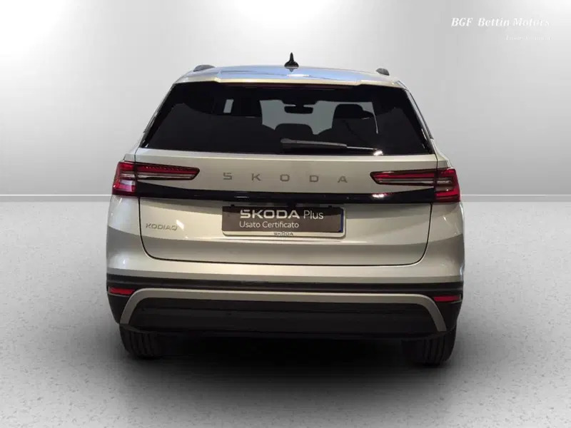 Skoda Kodiaq usata a Padova (8)