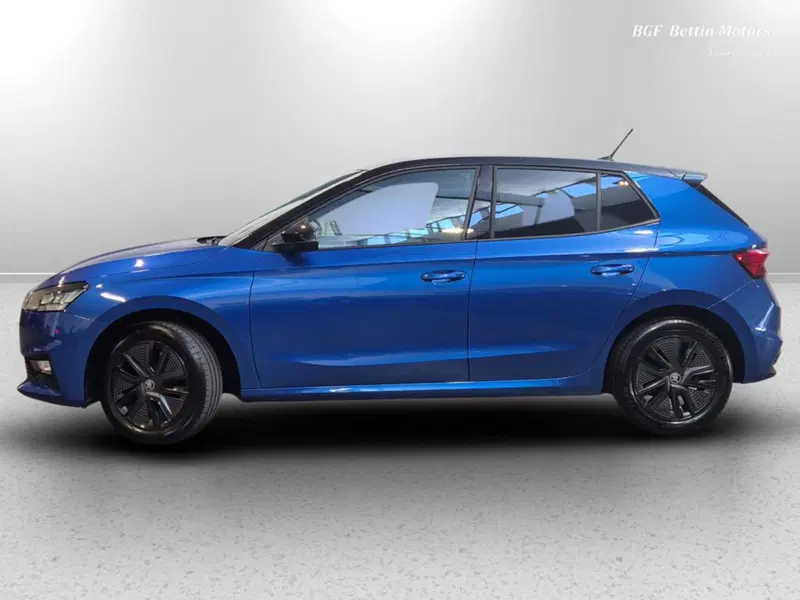 Skoda Fabia usata a Padova (2)