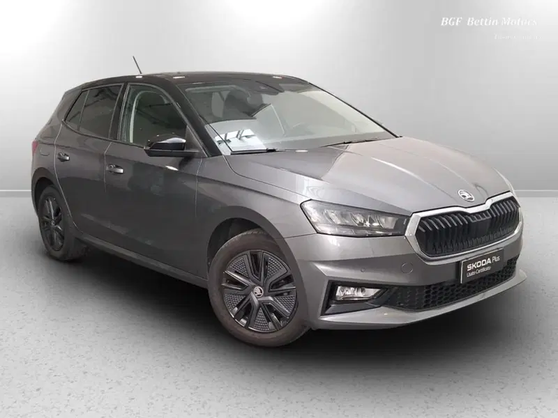 Skoda Fabia usata a Padova (4)