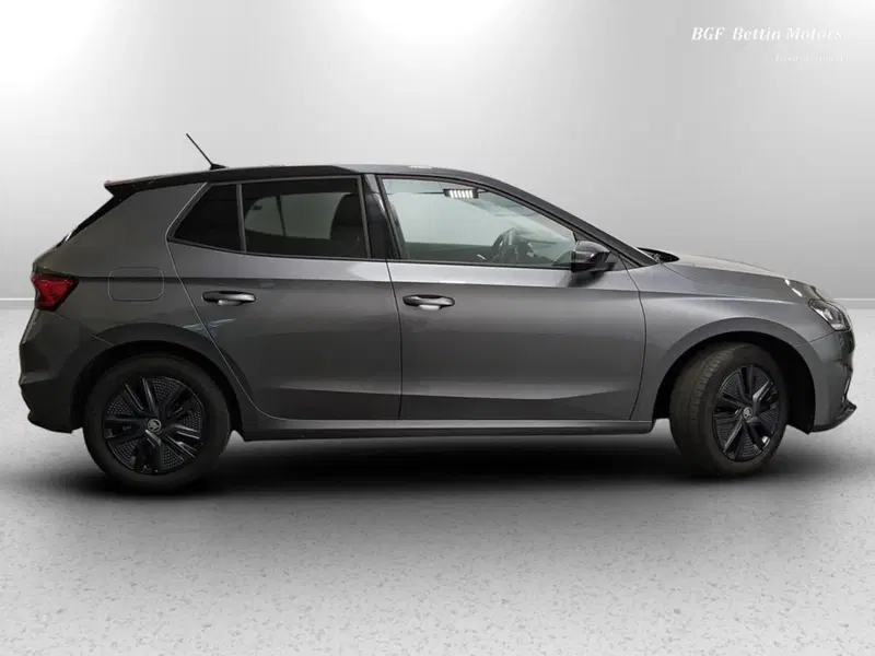 Skoda Fabia usata a Padova (5)