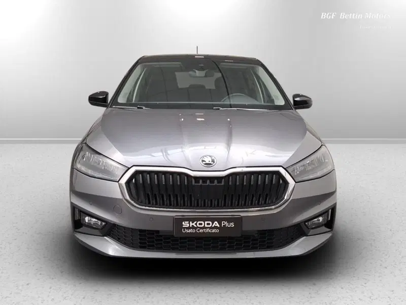 Skoda Fabia usata a Padova (7)