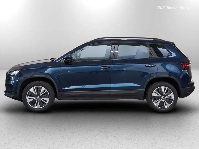 Skoda Karoq usata a Padova (2)