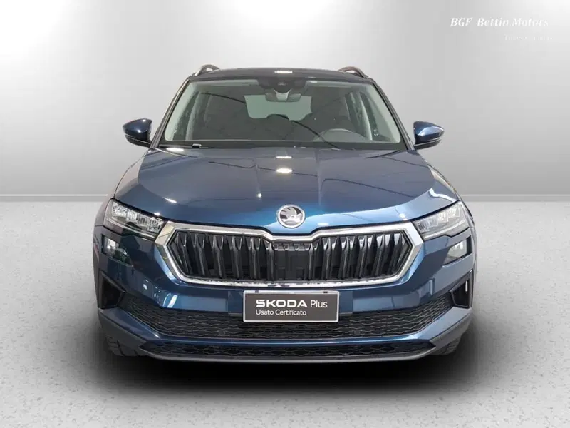 Skoda Karoq usata a Padova (7)