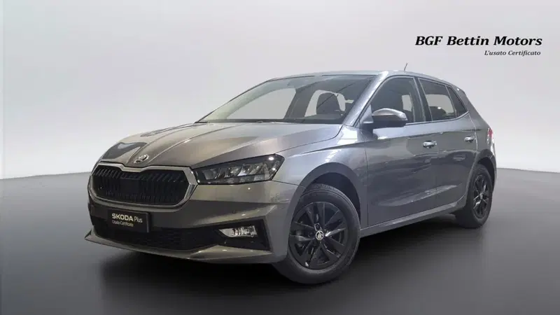 Skoda Fabia usata a Padova