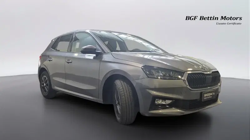 Skoda Fabia usata a Padova (4)