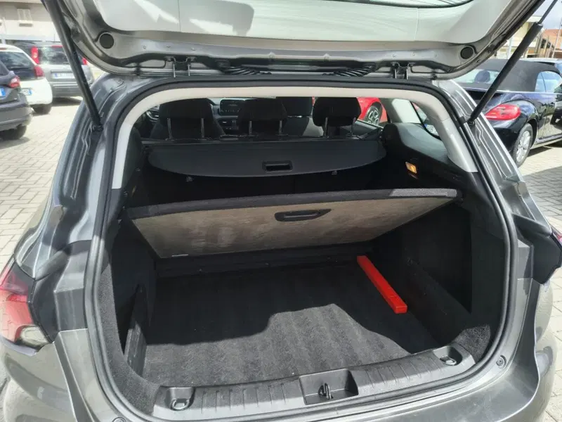Fiat Tipo Station Wagon usata a Firenze (6)
