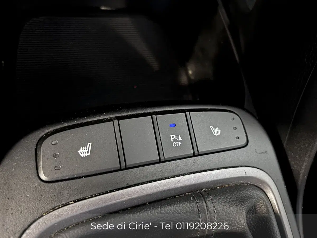 Hyundai Santa Fe usata a Torino (17)