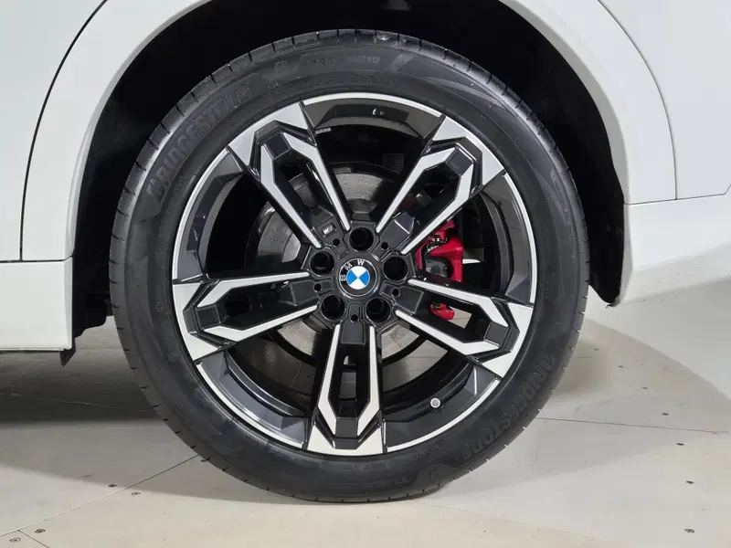 BMW X2 usata a Torino (14)