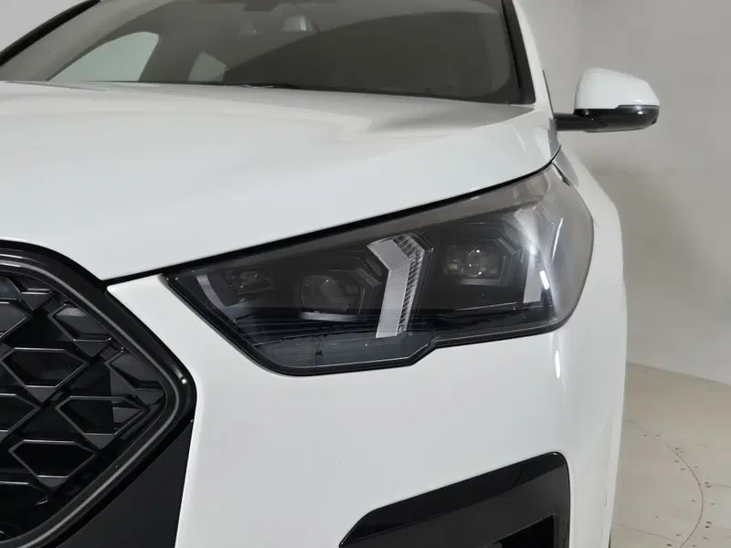 BMW X2 usata a Torino (20)