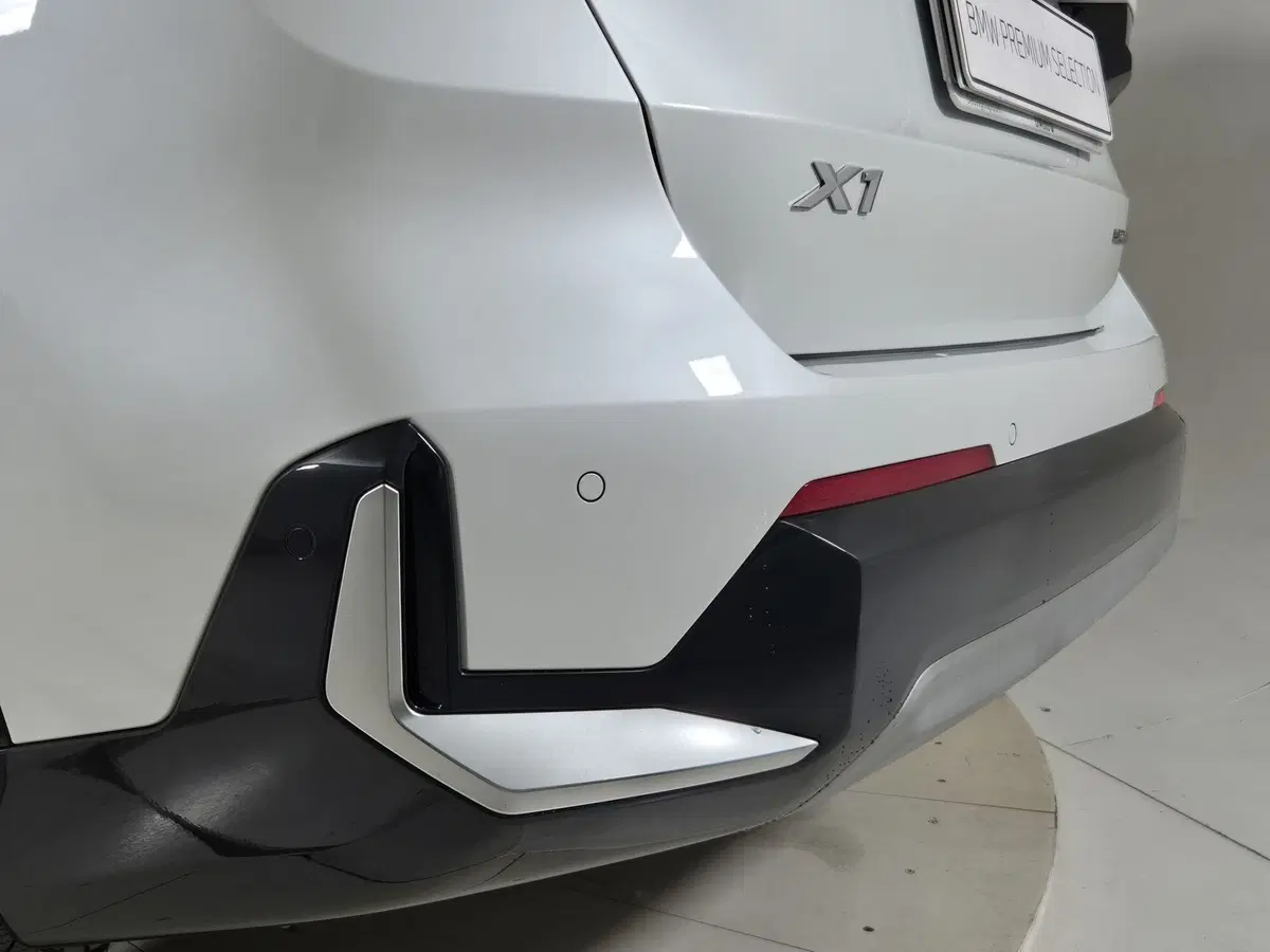 BMW X1 usata a Torino (20)