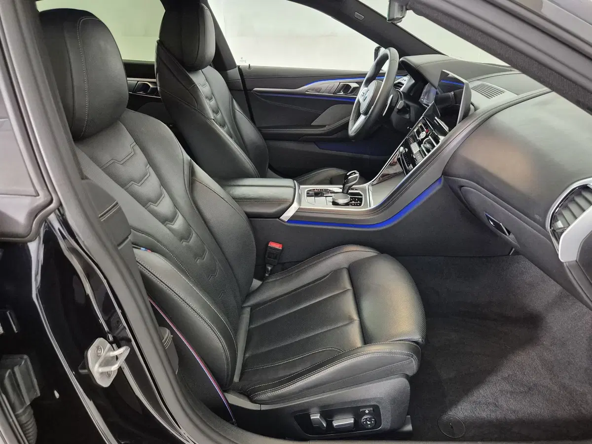 BMW Serie 8 Gran Coupé usata a Torino (11)