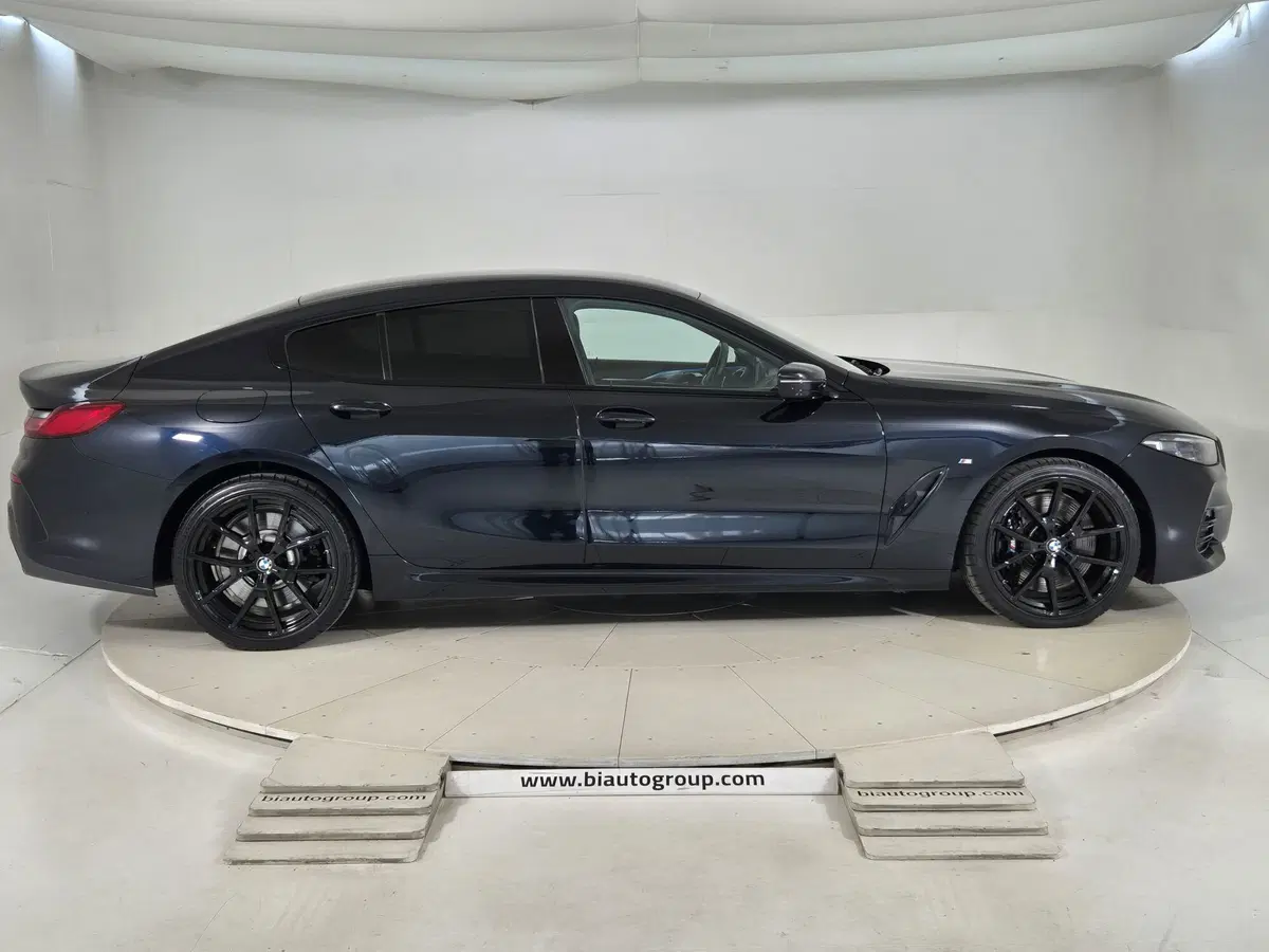 BMW Serie 8 Gran Coupé usata a Torino (6)