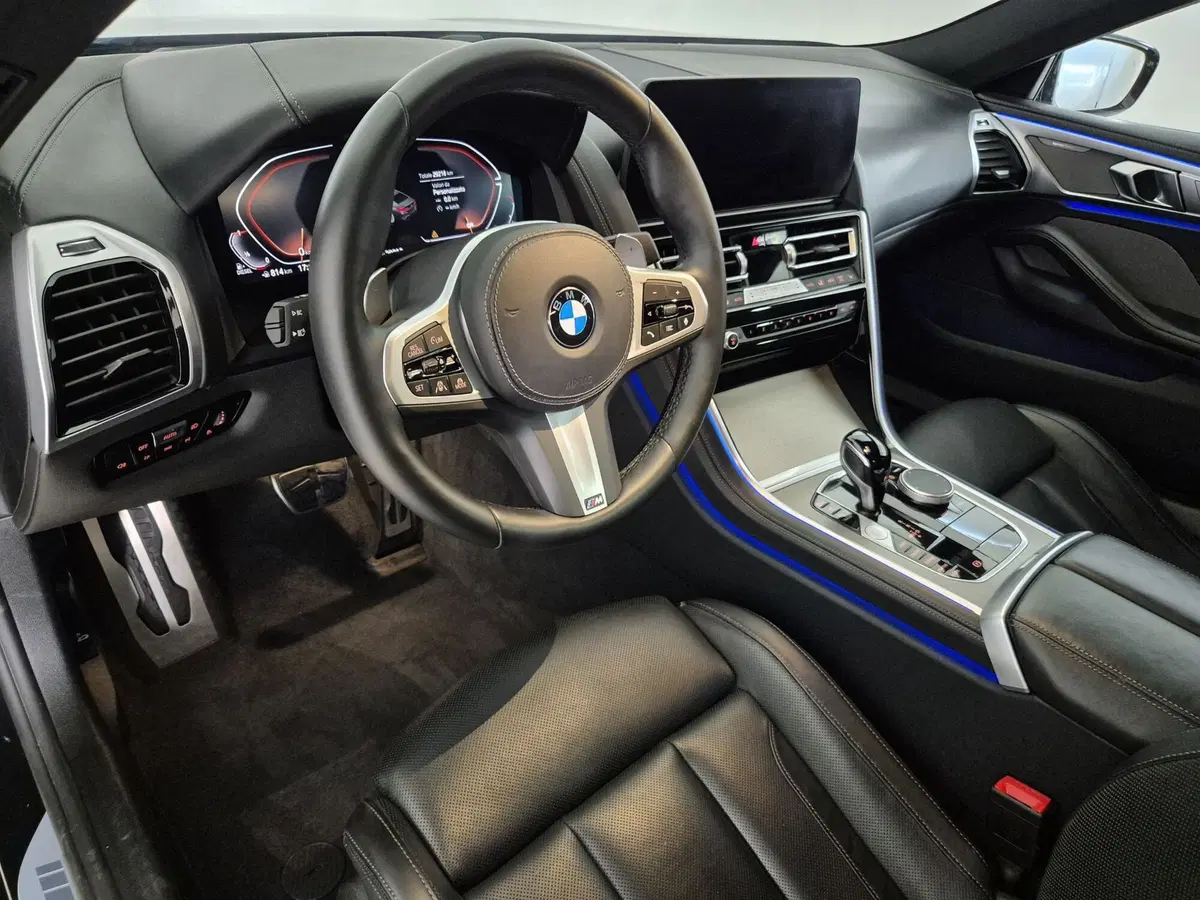 BMW Serie 8 Gran Coupé usata a Torino (7)