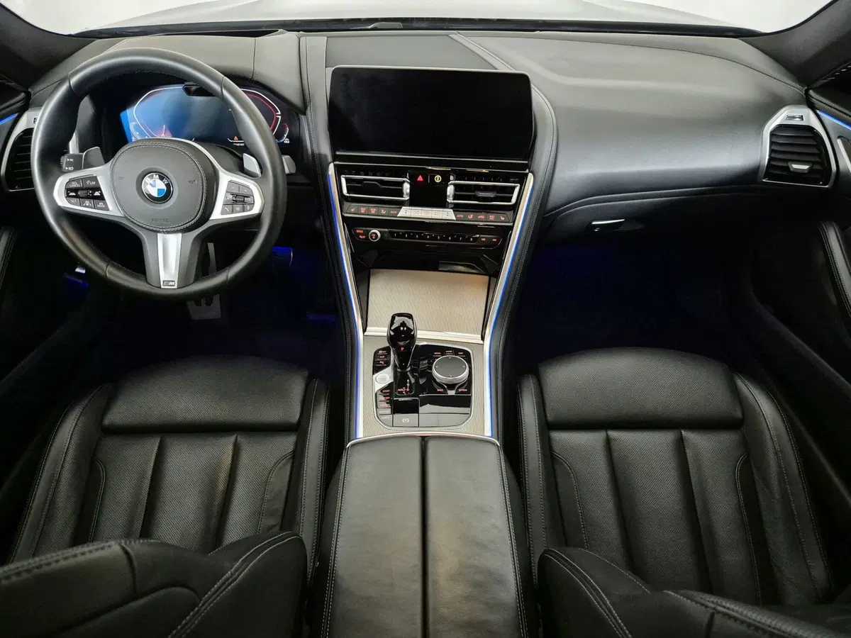 BMW Serie 8 Gran Coupé usata a Torino (9)