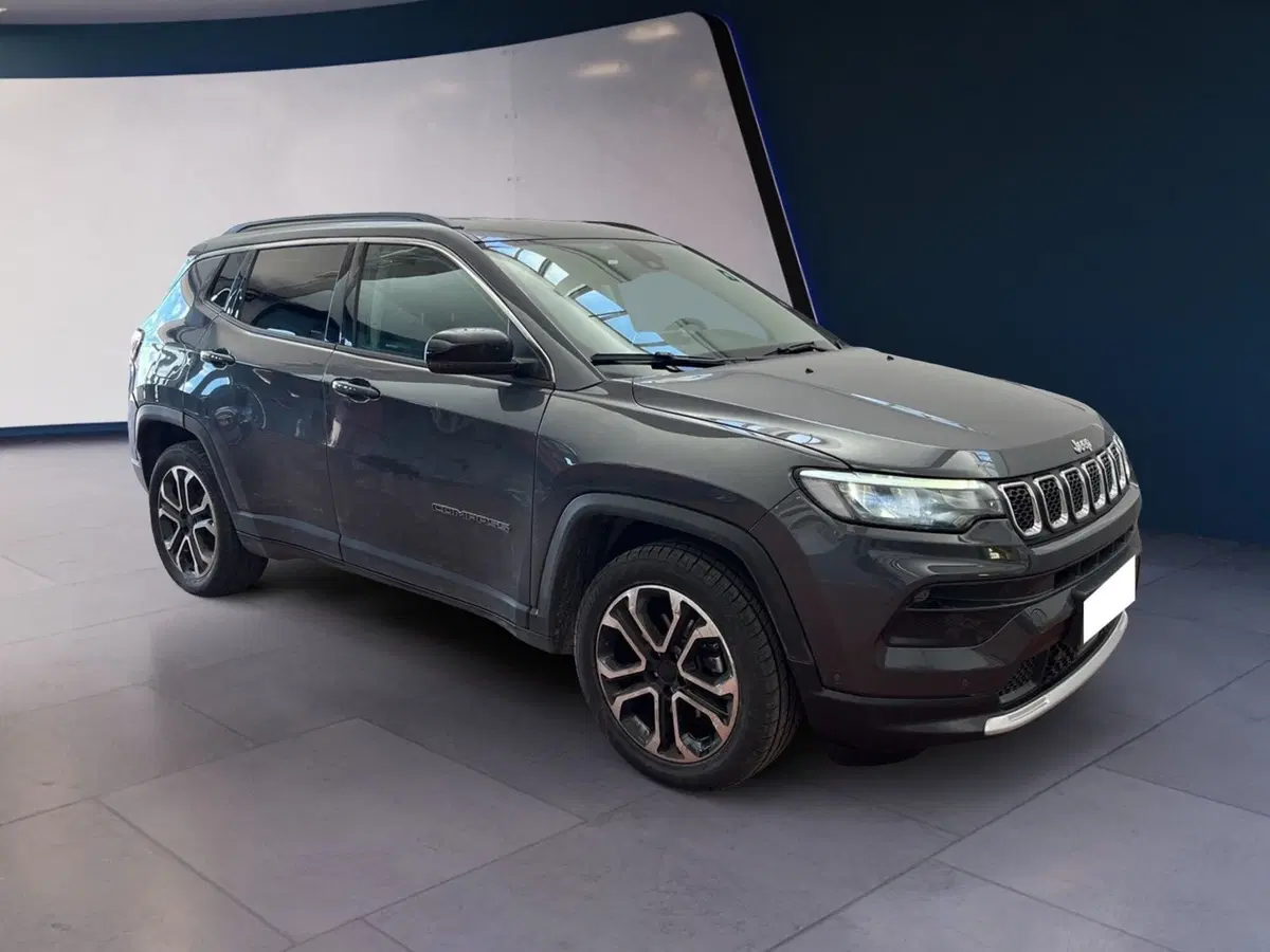 Jeep Compass usata a Torino (2)
