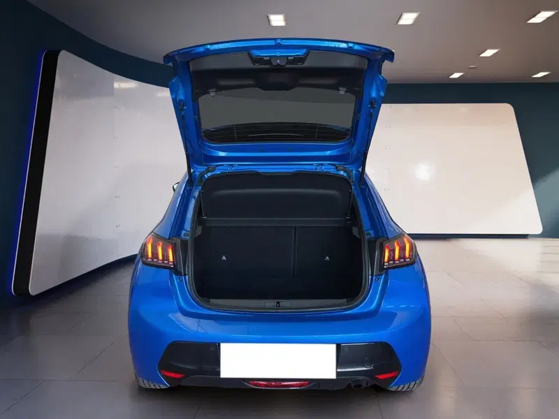 Peugeot 208 usata a Torino (8)