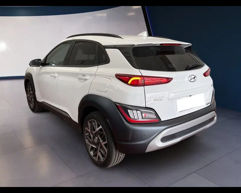 Hyundai Kona usata a Torino (12)