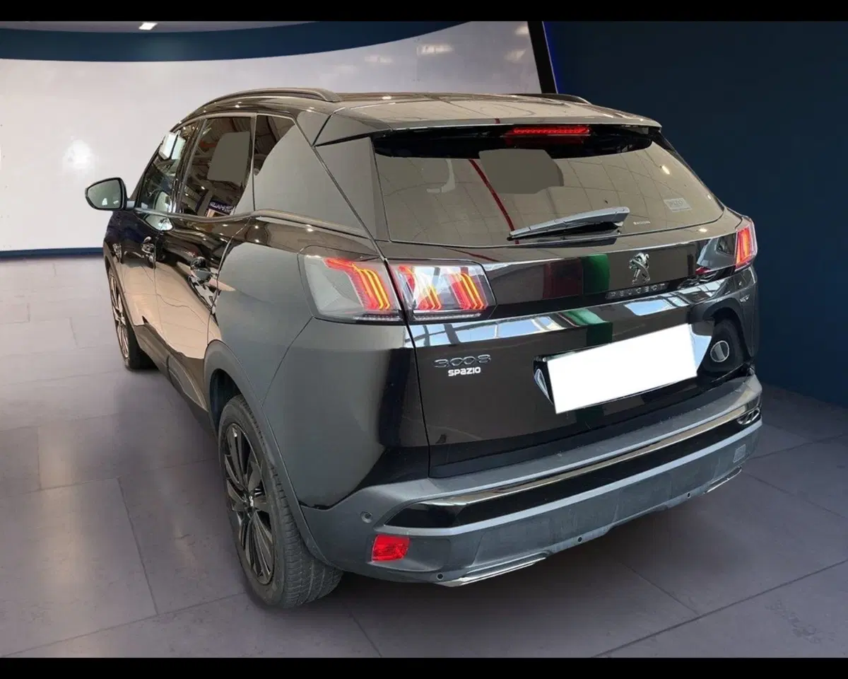 Peugeot 3008 usata a Torino (10)