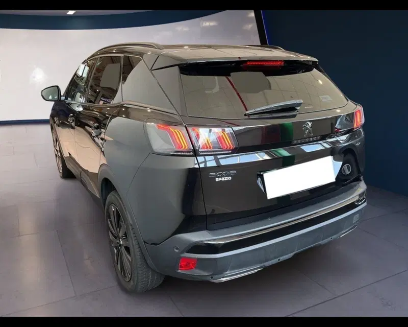Peugeot 3008 usata a Torino (10)