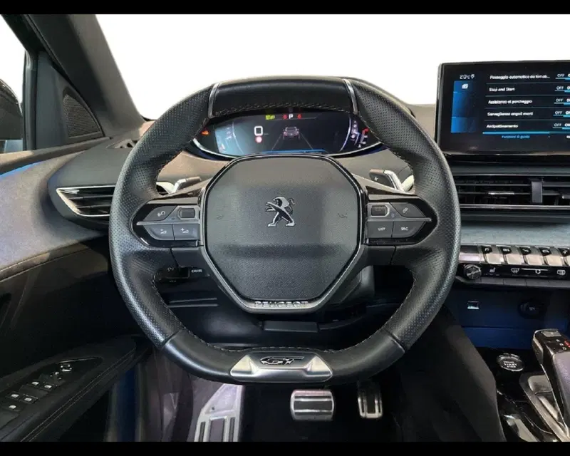 Peugeot 3008 usata a Torino (3)