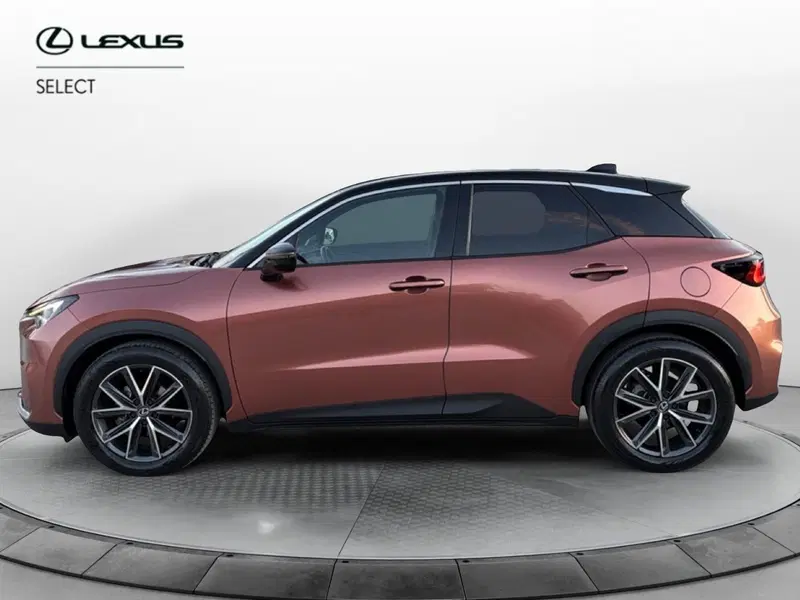 Lexus LBX usata a Catania