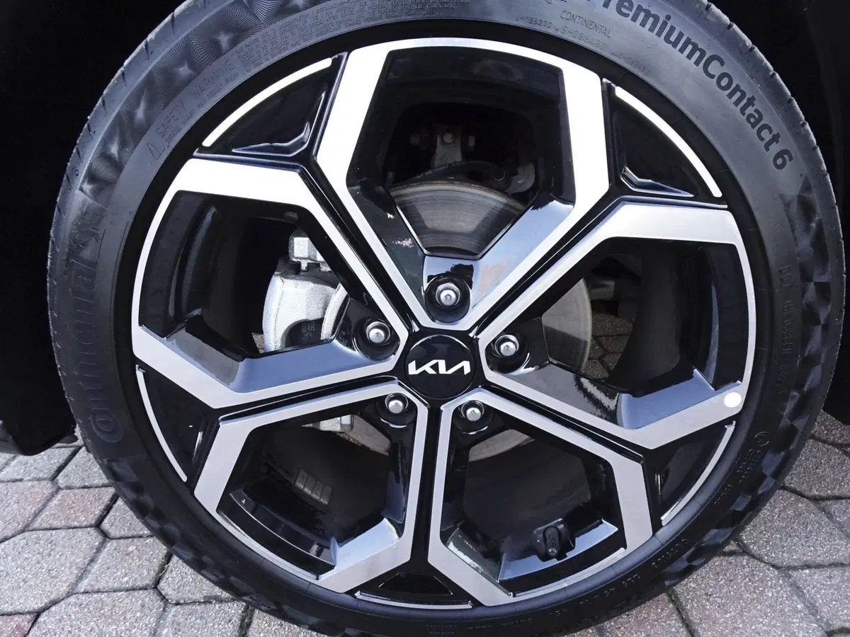 Kia Niro usata a Treviso (8)