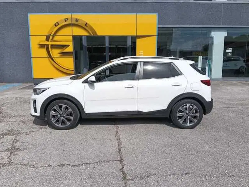 Kia Stonic usata a Pesaro-Urbino (2)