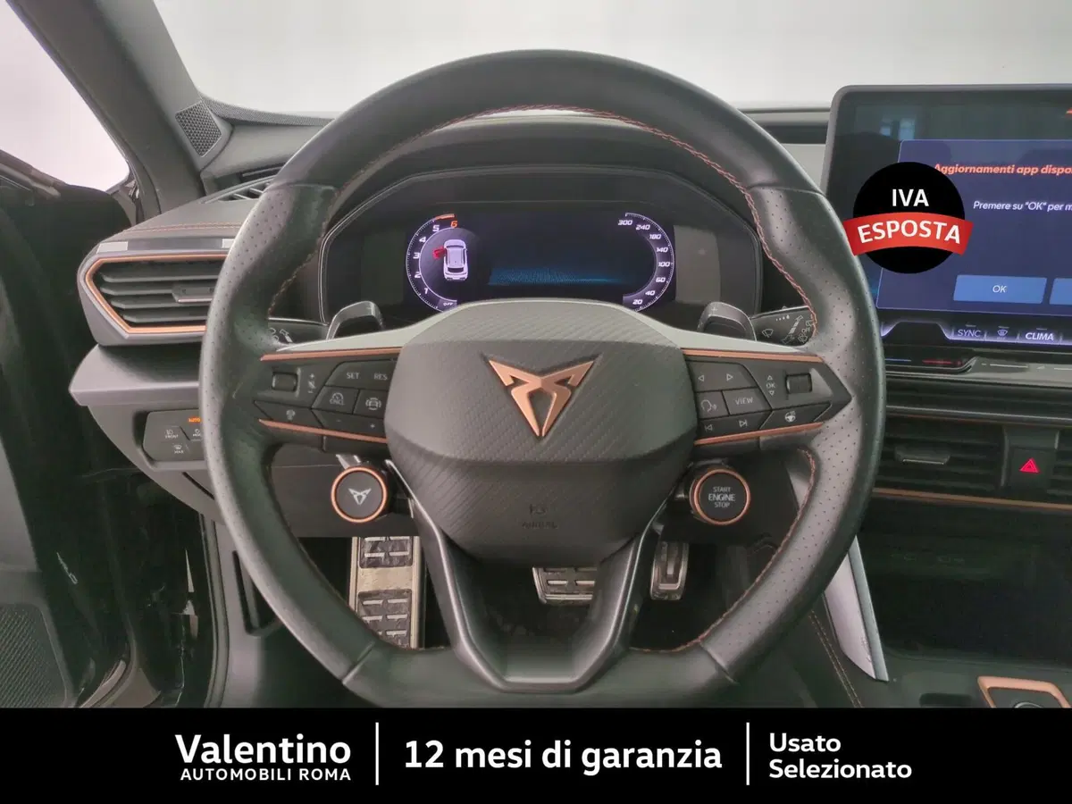 Cupra Formentor usata a Roma (14)