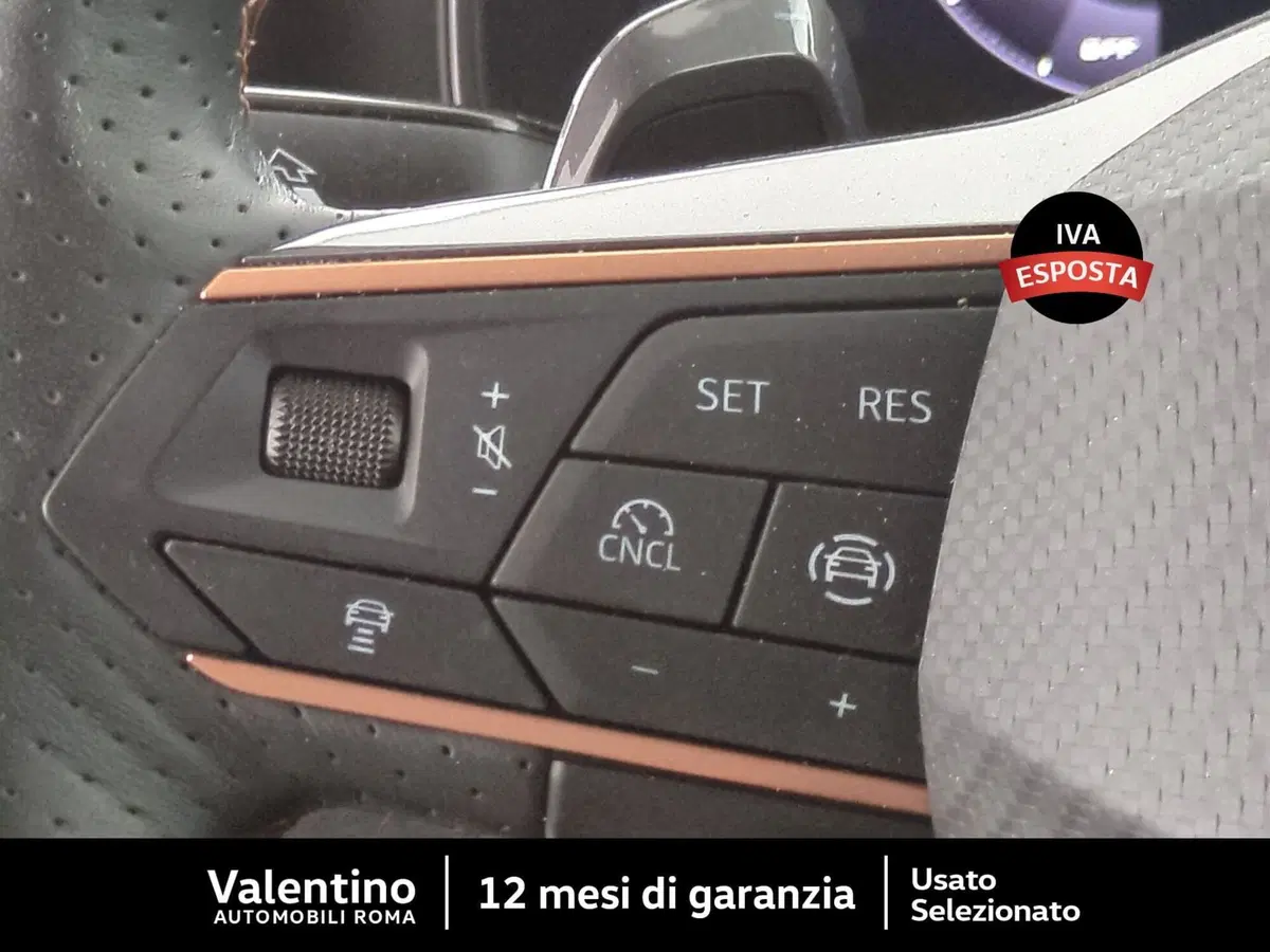 Cupra Formentor usata a Roma (15)