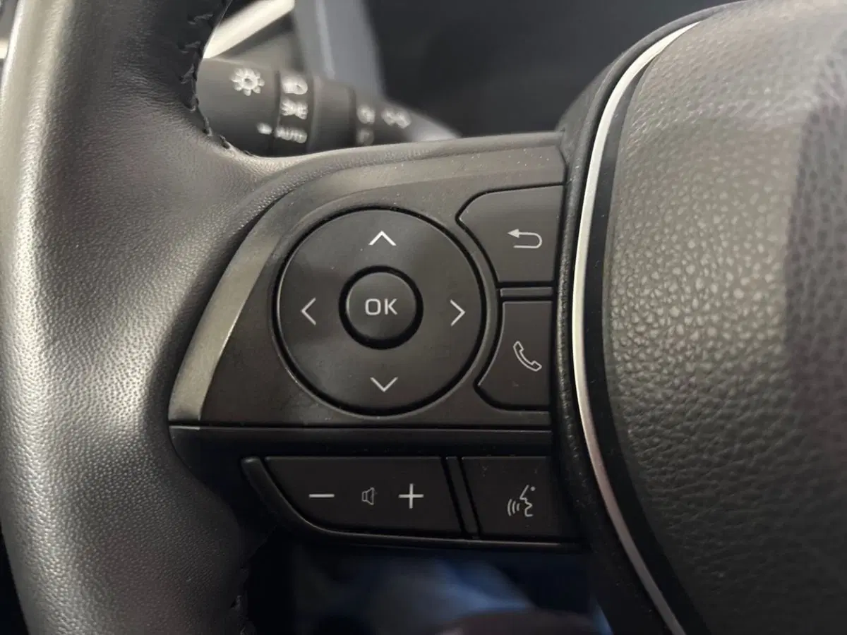 Toyota Rav4 usata a Torino (16)