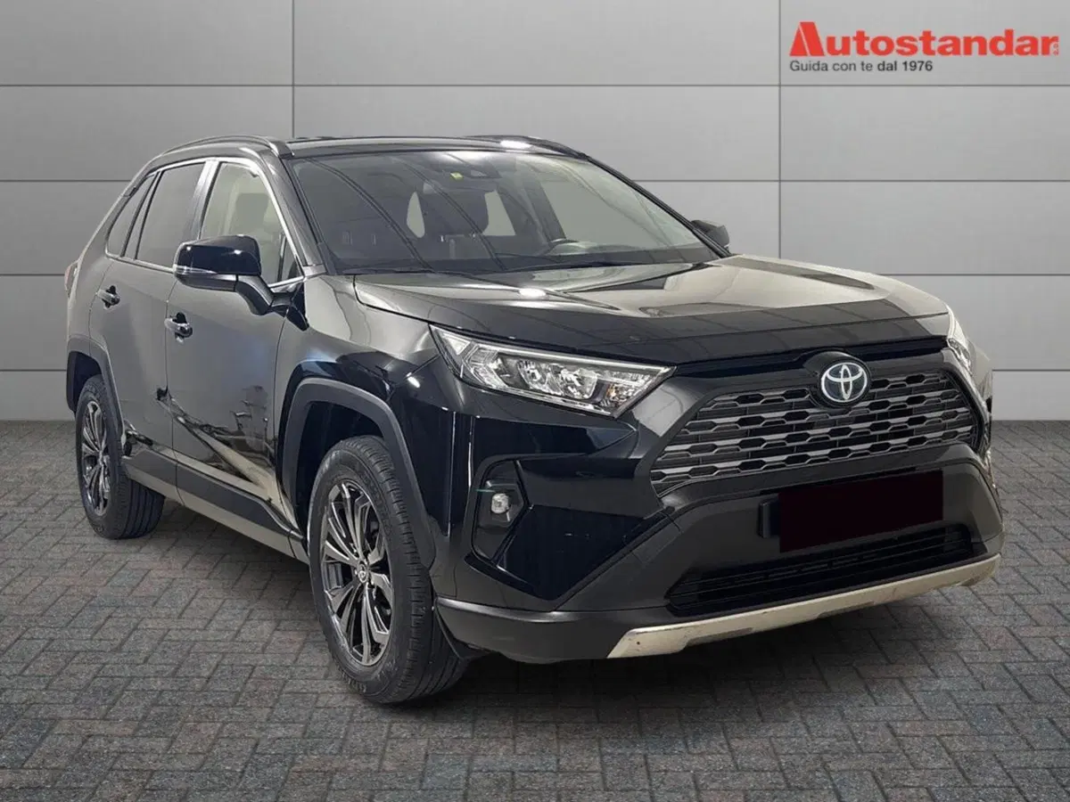 Toyota Rav4 usata a Torino (2)