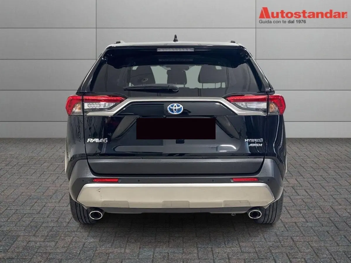 Toyota Rav4 usata a Torino (6)