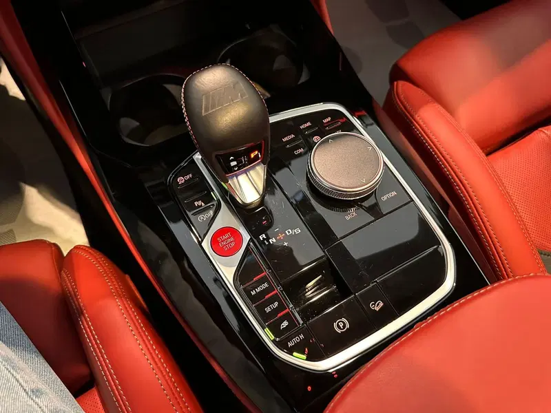 BMW X4 usata a Cuneo (11)