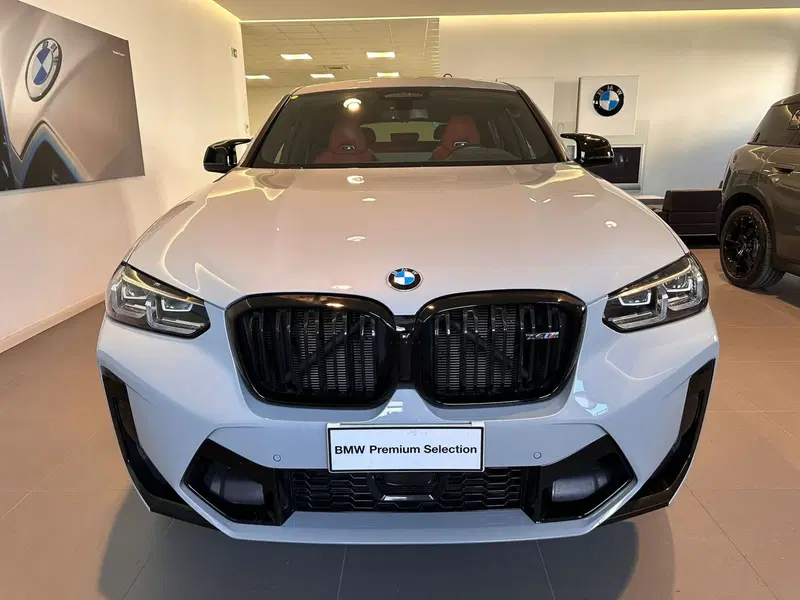 BMW X4 usata a Cuneo (4)
