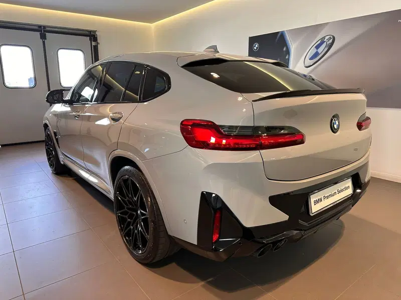 BMW X4 usata a Cuneo (5)