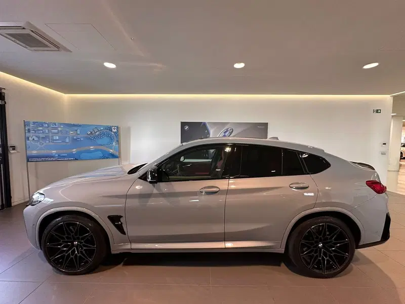 BMW X4 usata a Cuneo (6)