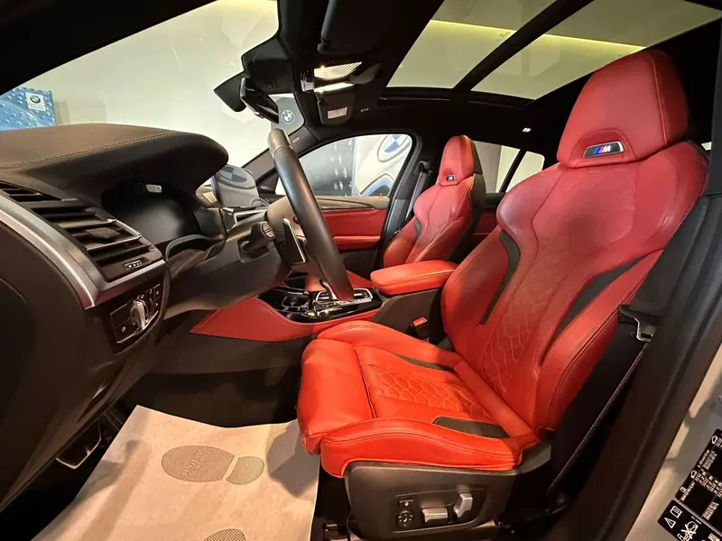 BMW X4 usata a Cuneo (7)