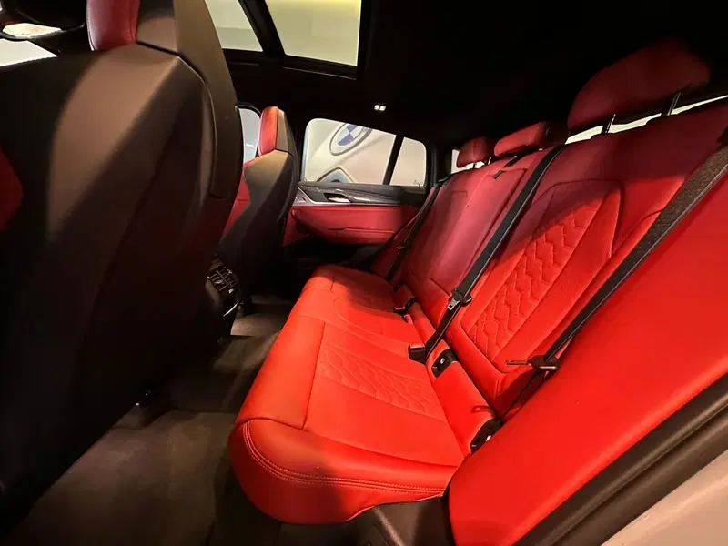 BMW X4 usata a Cuneo (8)