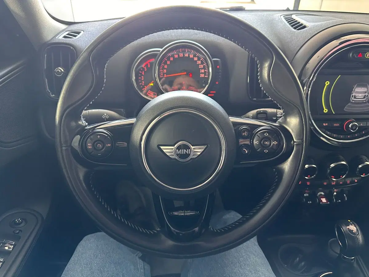 MINI Mini Countryman usata a Cuneo (17)