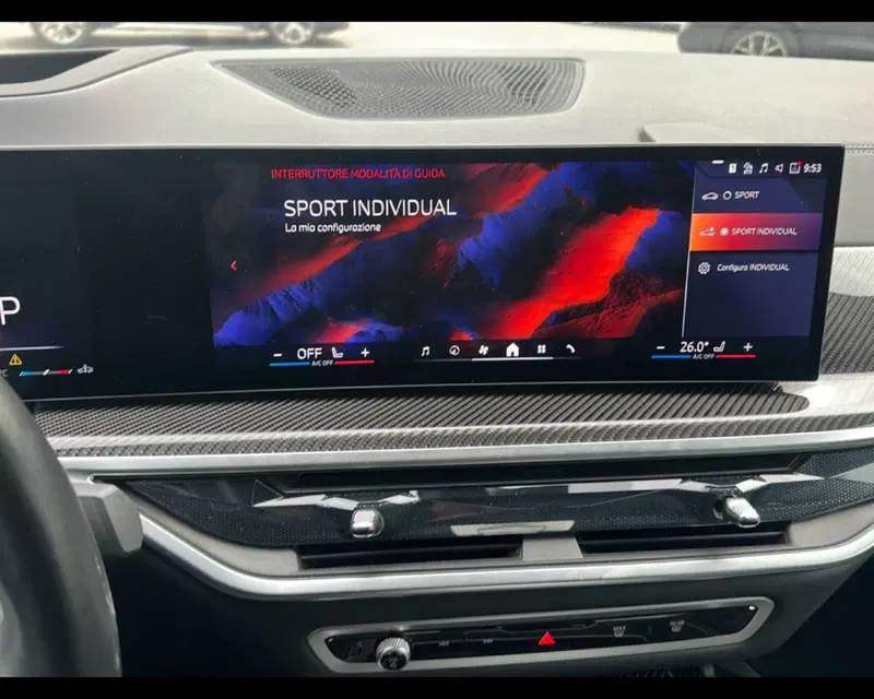 BMW X6 usata a Caserta (18)
