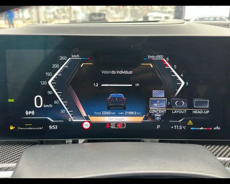 BMW X6 usata a Caserta (20)
