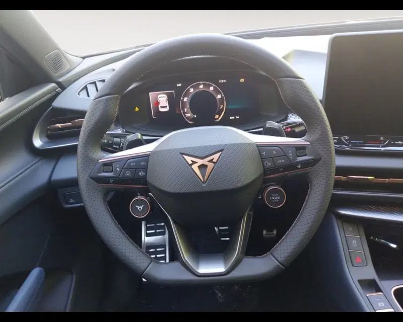 Cupra Terramar nuova a Forlì-Cesena (12)