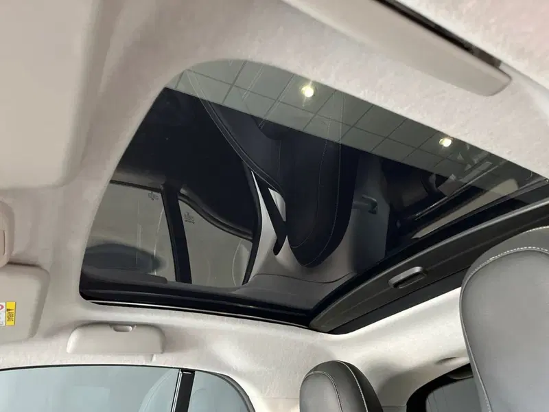 smart Fortwo usata a Firenze (19)