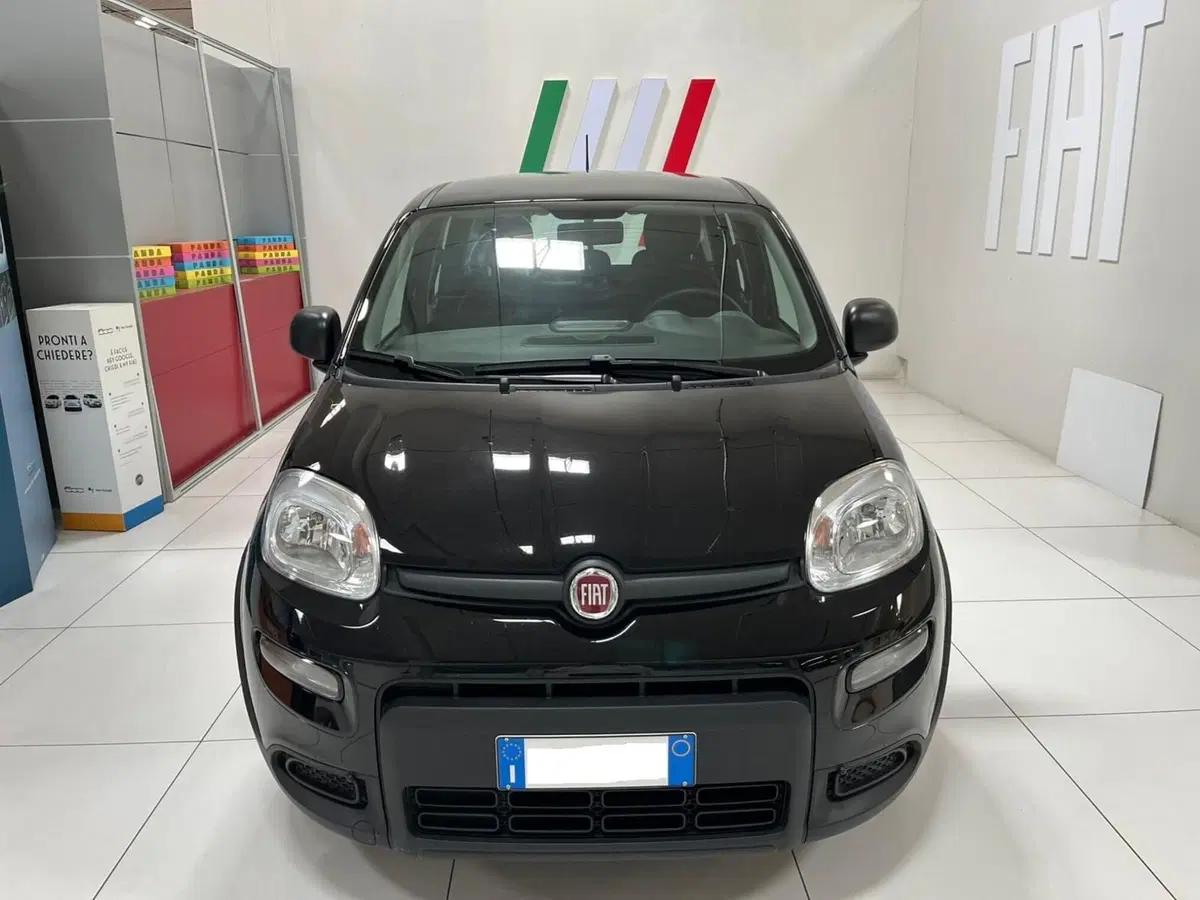 Fiat Panda usata a Lucca (2)