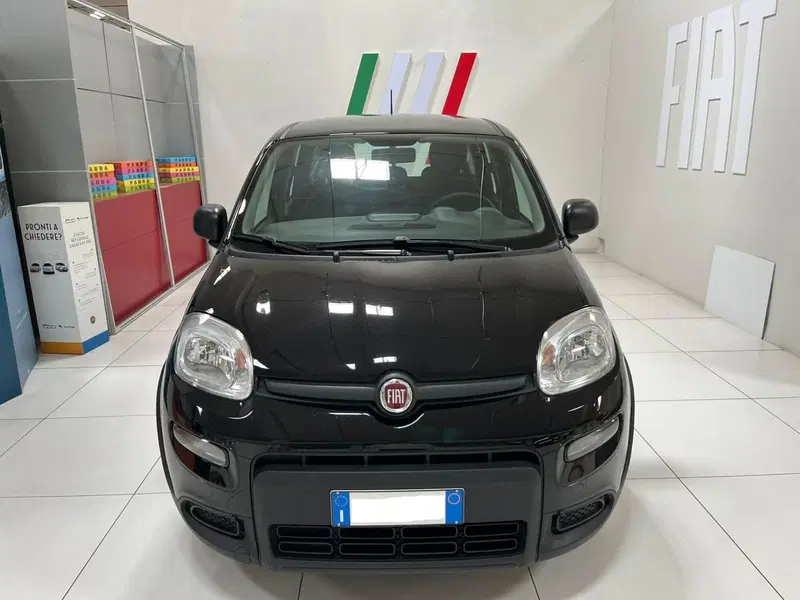 Fiat Panda usata a Lucca (2)